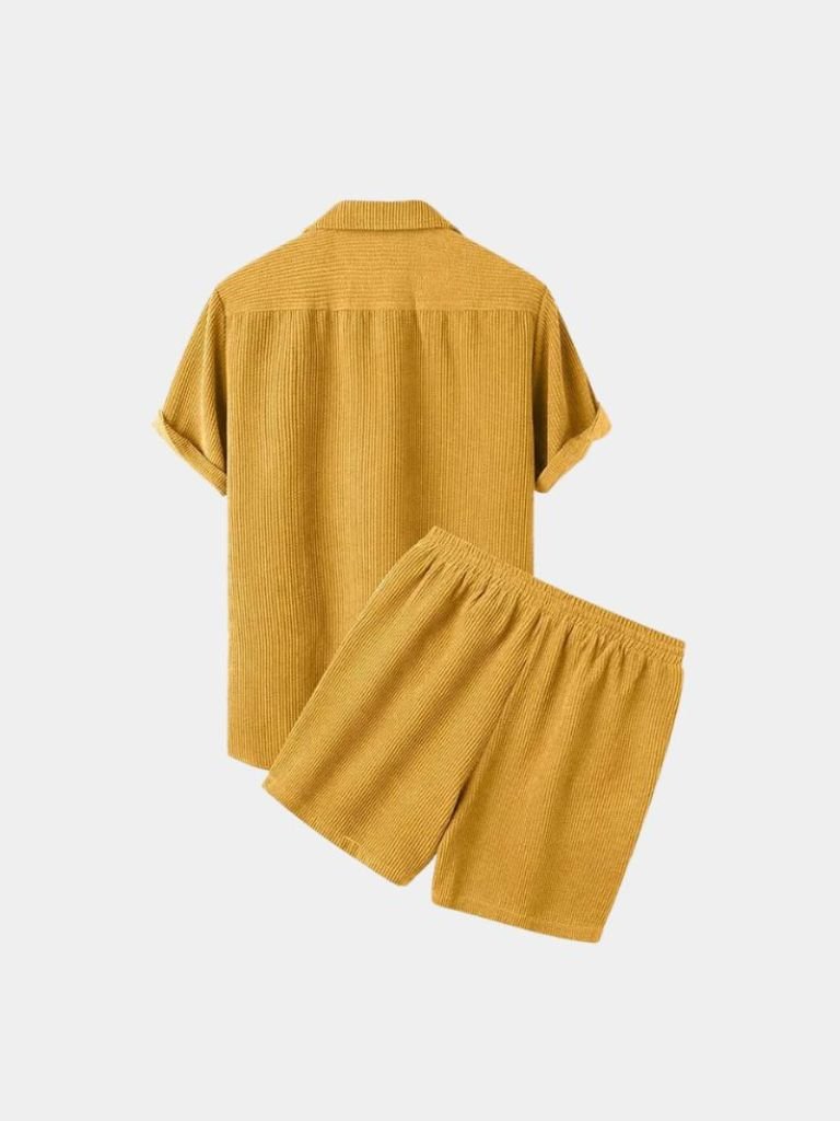 Minimalist Shorts and Shirt Set in Velour