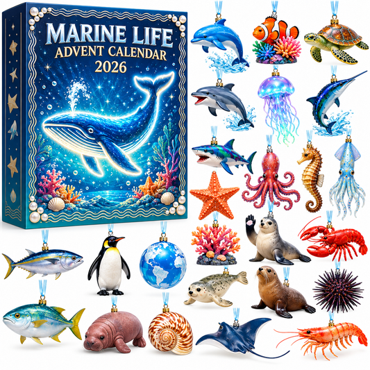 Marine Life Advent Calendar